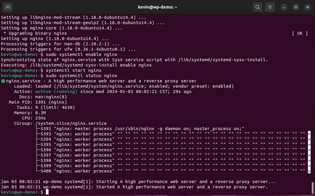 Restart Nginx